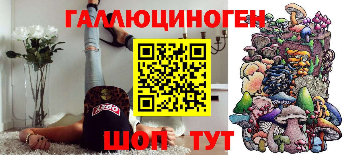 Усть-Илимск  Псилоцибиновые грибы мицелий  Галлюциногенные грибы Psilocybe  Вход с VPN 